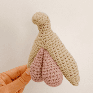crochet clitoris model